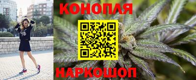 стаф Гусев