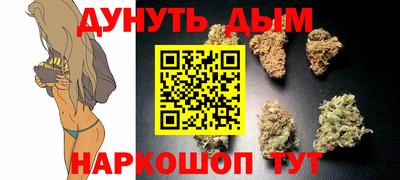 стаф Гусев