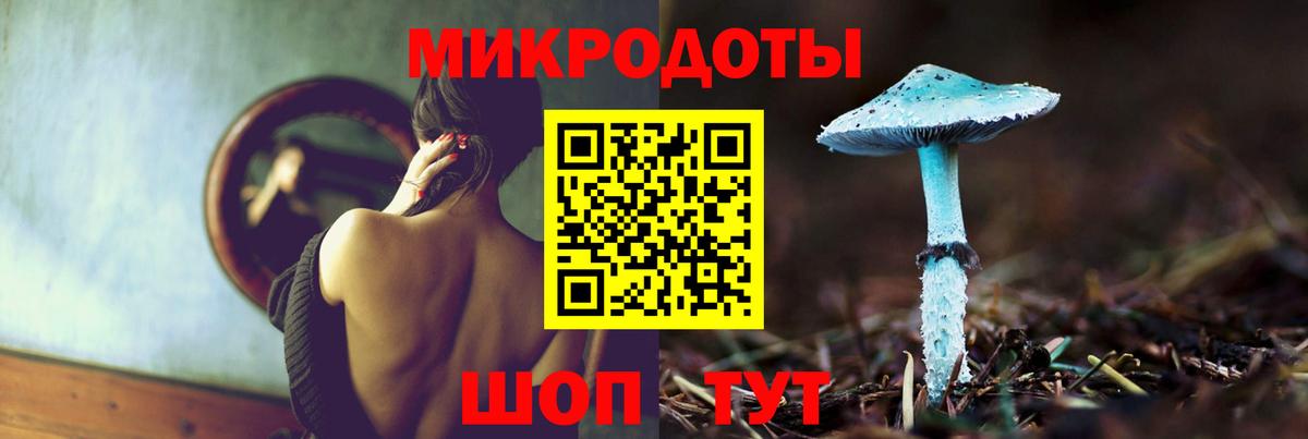 Новодвинск  Псилоцибиновые грибы Psilocybe  закладка  Вход с VPN 